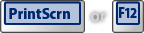 PrintScrn or F12